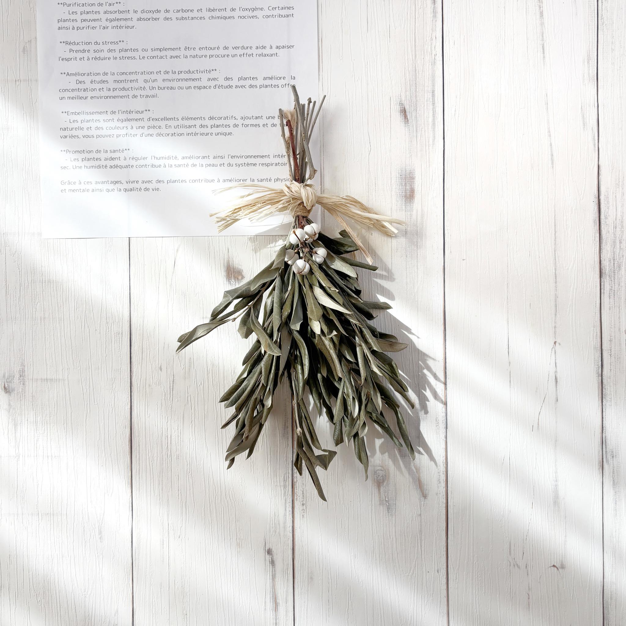 オリーブのシンプルスワッグ｜おしゃれなドライフラワーを玄関やリビングに｜母の日にも◎1枚目の画像